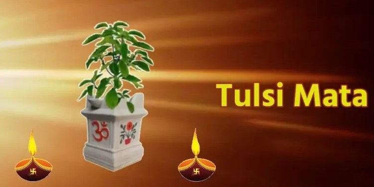 Maa Tulsi Mata Ki Aarti